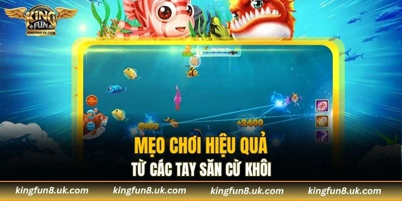 Tận dụng triệt để mọi cơ hội khi đi săn